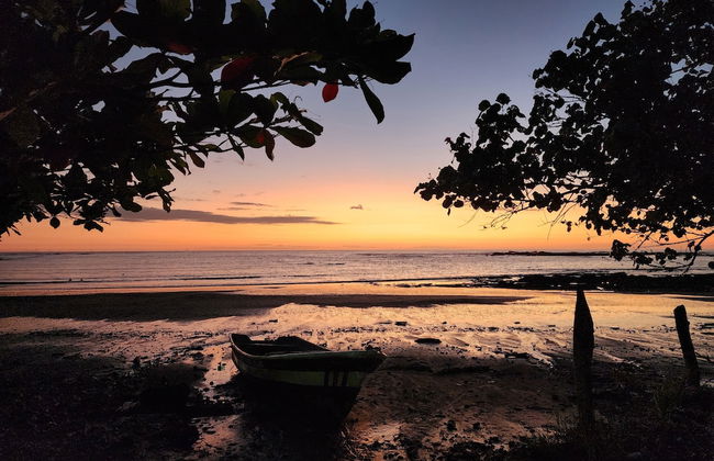 Casa Naranja Jungle Villa - Photo 16