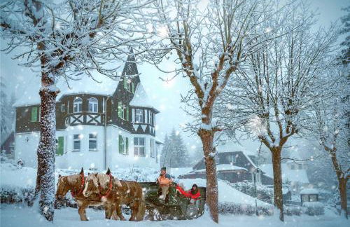 Ahornallee Ferienappartements - Foto 15