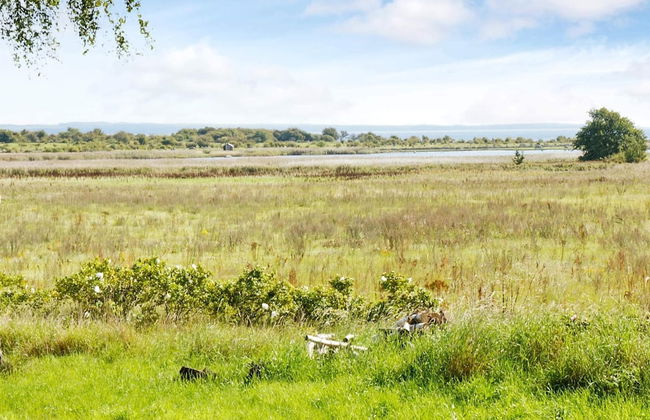 3 Person Holiday Home in Fjalkinge - Foto 16