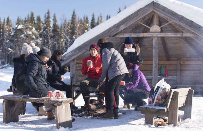 Trilha pelo Parque Nacional de Riisitunturi - Foto 4