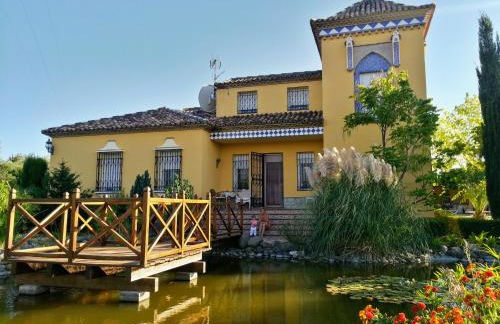 Andalusian experience - Foto 47