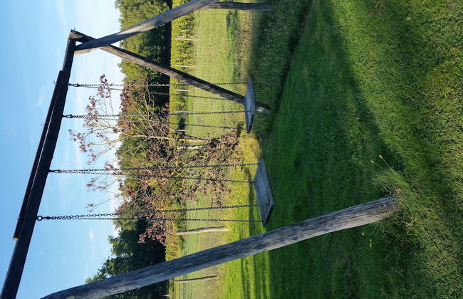 Agriturismo Il Sole Verde - Foto 42