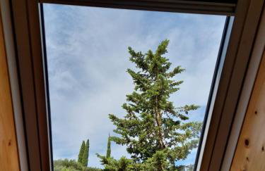 Villa Broč - Photo 62