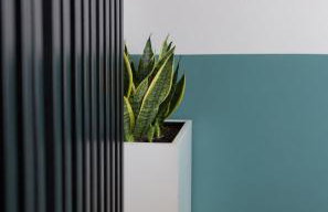 Phaedra's Studios in Kolymbari - Foto 37