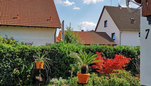 Casa Antico 2 - Photo 3, Garden