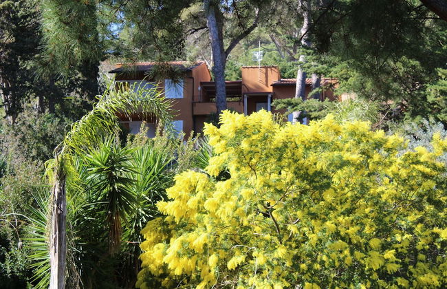 Art Apartment Capo D'Arco - Foto 26