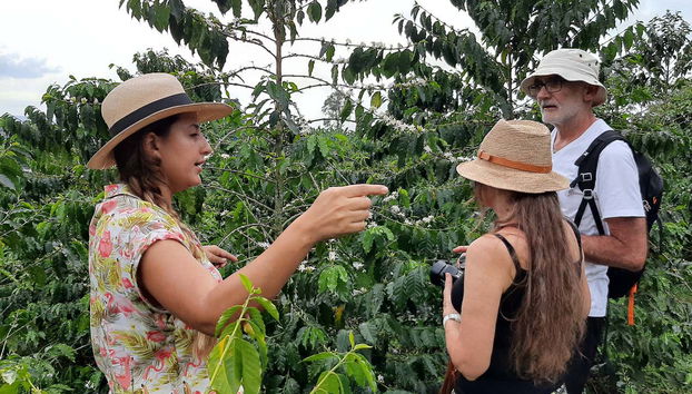 Visiting the coffee plantation