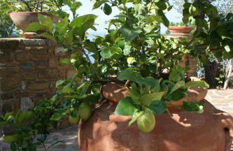 Villa Bella Vista - Foto 71