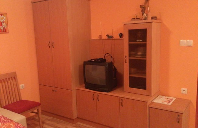 Vineyard cottage Pod piramido - Foto 13