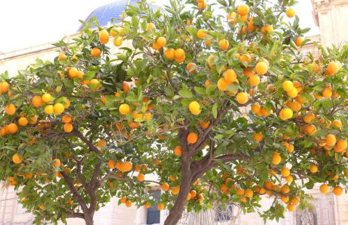 Apartament Aquamarina Cabo Roig - Foto 16