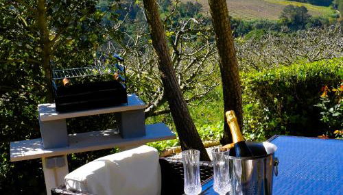 Serenity Views, Silver Coast, PT - Foto 4, Garden