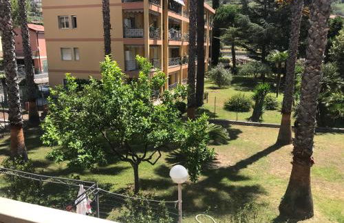 Blue Shades - Photo 13