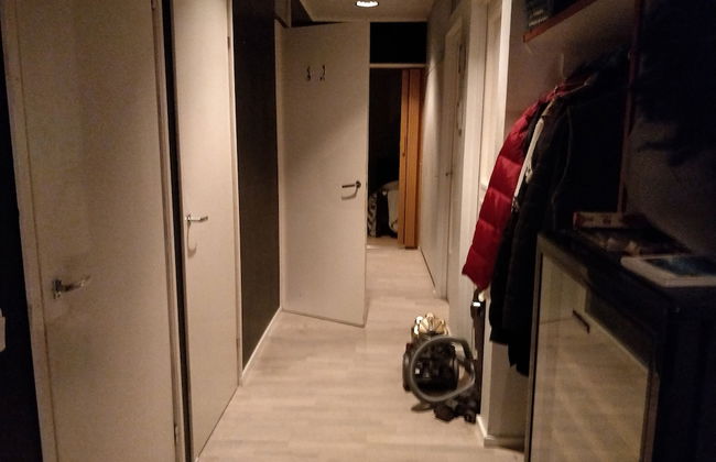 Residenssi Lehtinen - Foto 5