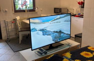 Apartment mit Wintergarten und Terrasse in ruhiger Lage im schönen Taunus - Foto 19