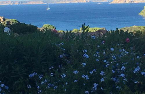 Villa stupenda vista mare SANTA TERESA GALLURA Localita Conca Verde via ulisse 37 - Photo 5