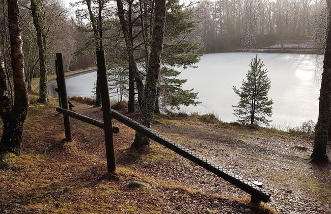 Macdonald Lochanhully Woodland Club - Foto 50