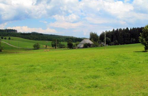 Ferienwohnung Schwarzwaldhof - Foto 28