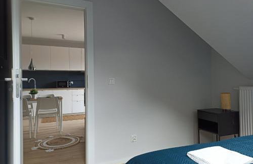 Apartament Alicja - Foto 9