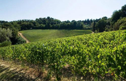 Stunning Country House overlooking Tuscany hills - Foto 16