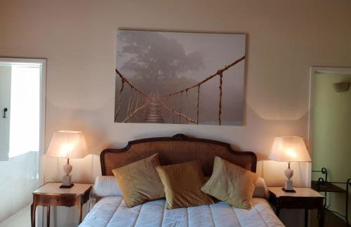 Casa de Campo - Cinfães do Douro - Photo 24