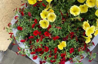 Villa Rosengarten - Foto 11