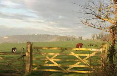 Walkers Rest! - Foto 10