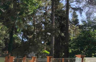 New Forest lodge - 194 NO PETS - Photo 18