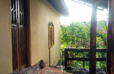 Jardim das orquídeas - Foto 42