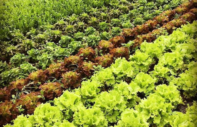 Casa Rural Aristondo - Photo 35