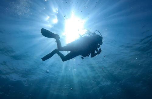 Frankenberg-am-Wald Frankenberg an der Eder - Foto 21