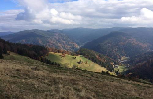 Happy Big Family - Foto 6