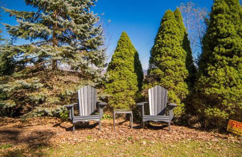 Cabin with amazing long-range mountain views, hot tub, fire pit, EV connection - Foto 10