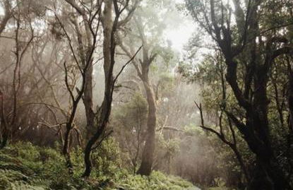 Casa Esteban Y Facunda - Foto 80