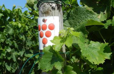 Ferienwohnung im Turm Bellevue mit 3 Schlafzimmern - Foto 14