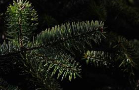 Rokani Sofita I at Kalavrita Center - Photo 17