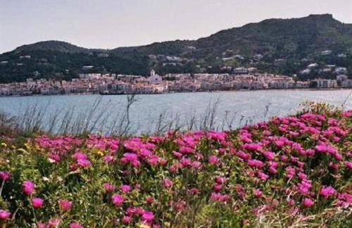 Beachfront Tamariua Costa Brava - Foto 13