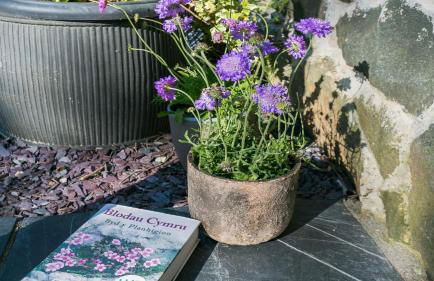 Hen Felin - Photo 53