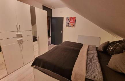 Wohnen am Stadtgarten - ruhig und zentral gelegen - Foto 6