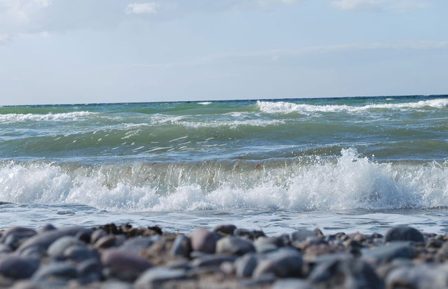 Ferienhaus in der Naehe der Ostsee - Photo 78