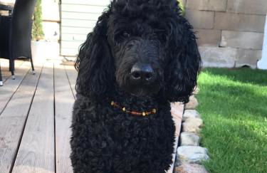 Ferienhaus Hassgautor - Foto 59