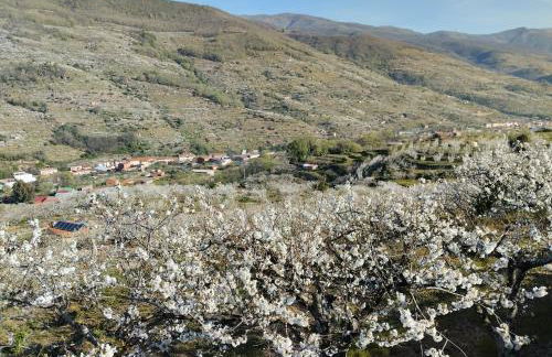 Casas Rurales Carroyosa del Jerte - Foto 30