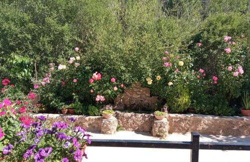 Cortijo de las cañadas - Foto 14