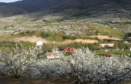 Rincón del Valle del Jerte - Foto 32