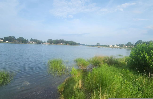 Bayview Bungalow Lake Beach Kayaks and More - Foto 30