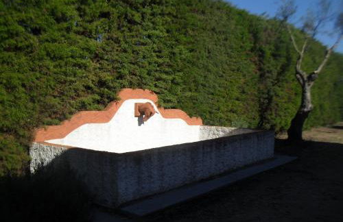 Quinta do Outeiro Alto - Foto 45