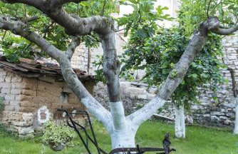 AIWA Διαμέρισμα 130τμ 1ου ορόφου σε διώροφη οικία - Foto 35