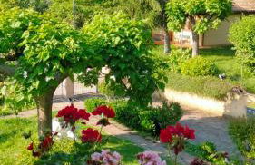 I Tre Lecci - Photo 34