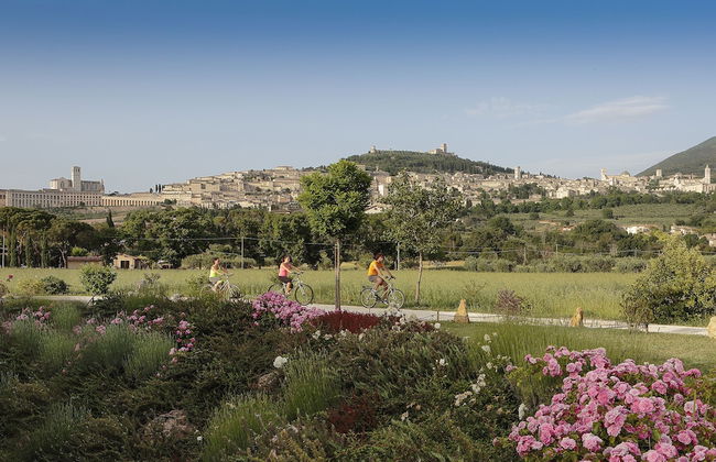 All'Antica Mattonata - Foto 37