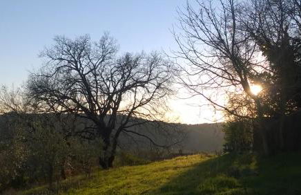 Agriturismo Terra Sabina - Foto 21