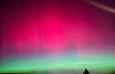 Abenteuerurlaub im Tannenwald - Photo 9